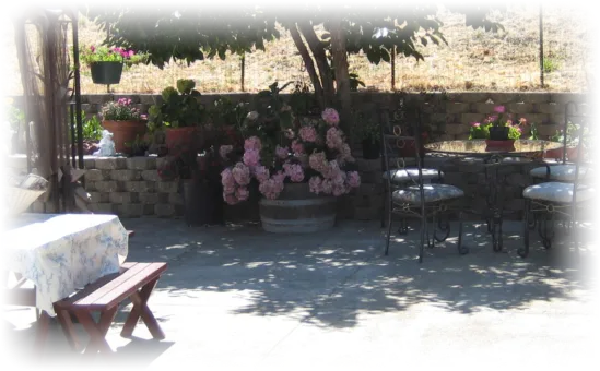 Home Sweet Home of Hercules — photo 8