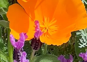 Coral Home Care Llc — photo 7
