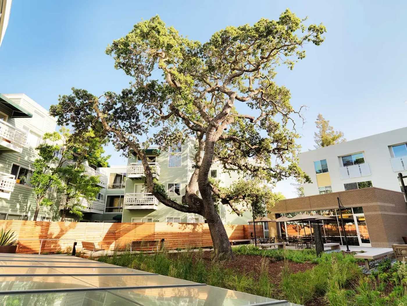 Palo Alto Senior Care Home — photo 6