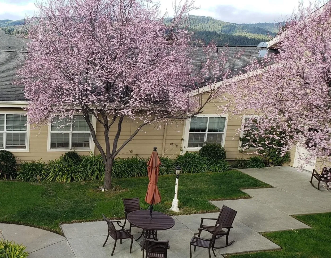 Sequoia Springs Senior Living Community — photo 11