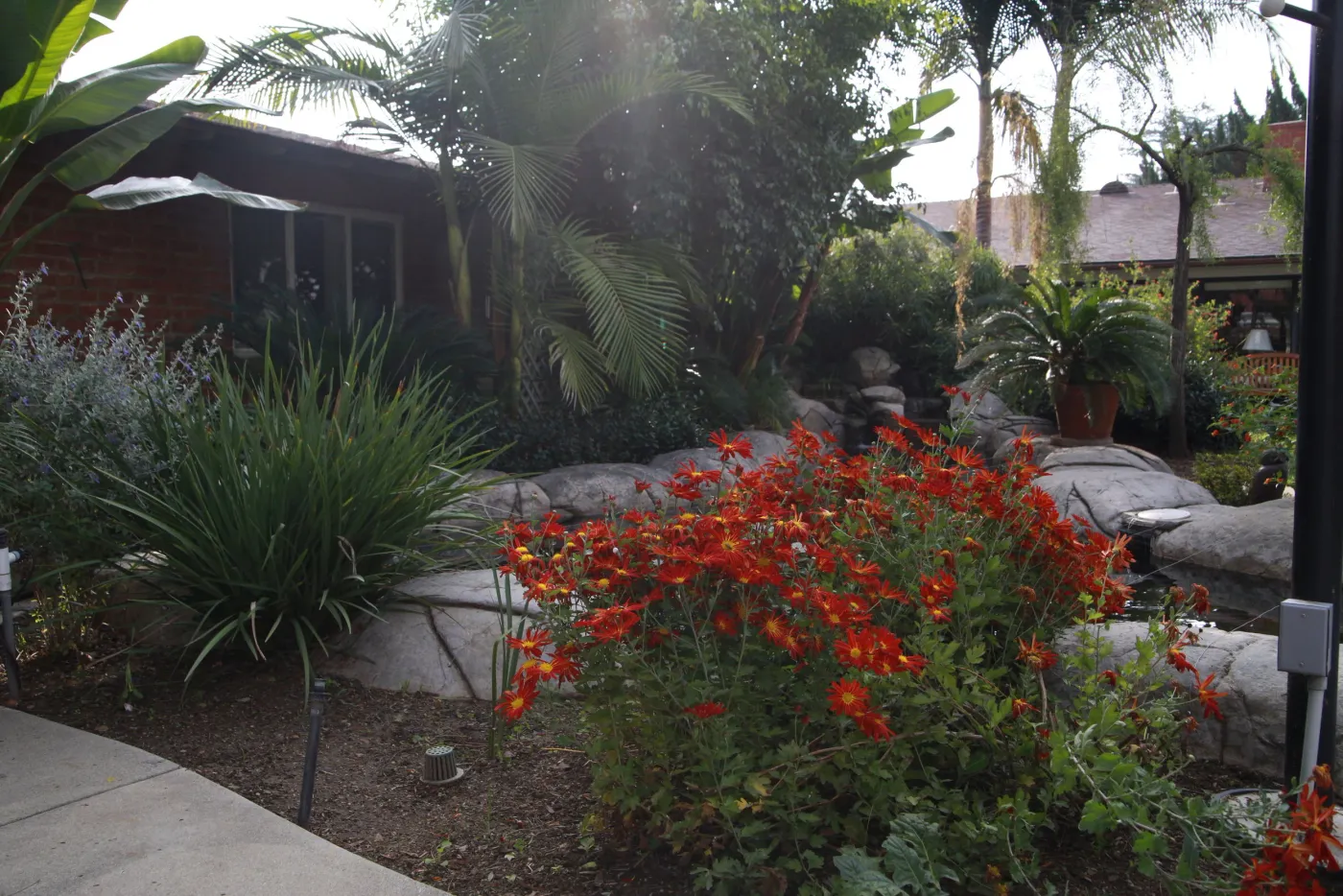 Monte Vista Grove Homes — photo 6