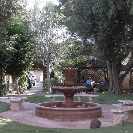 Ambassador Garden — photo 10