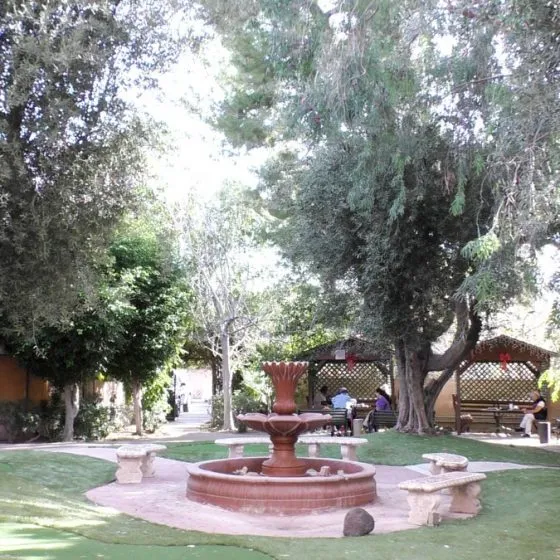 Ambassador Garden — photo 7