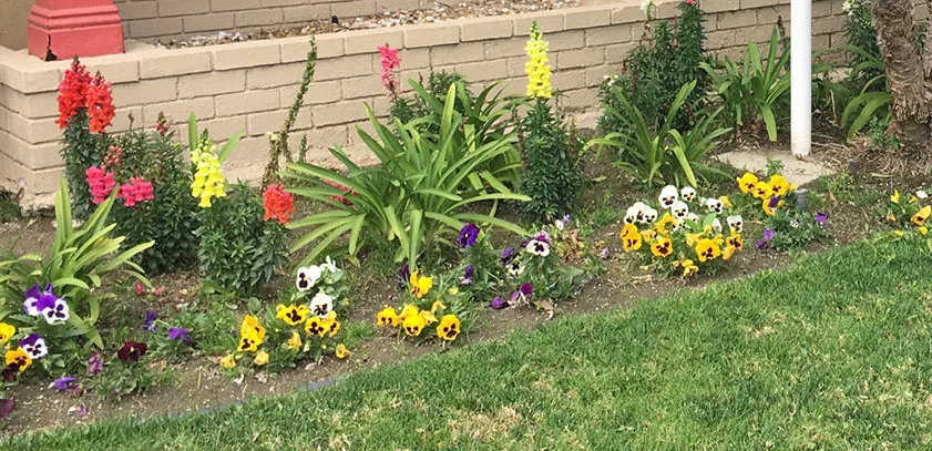 Lakewood Gardens — photo 8