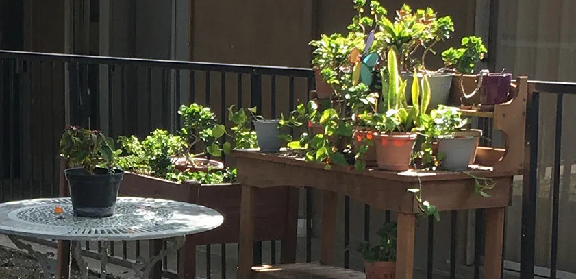 Lakewood Gardens — photo 14