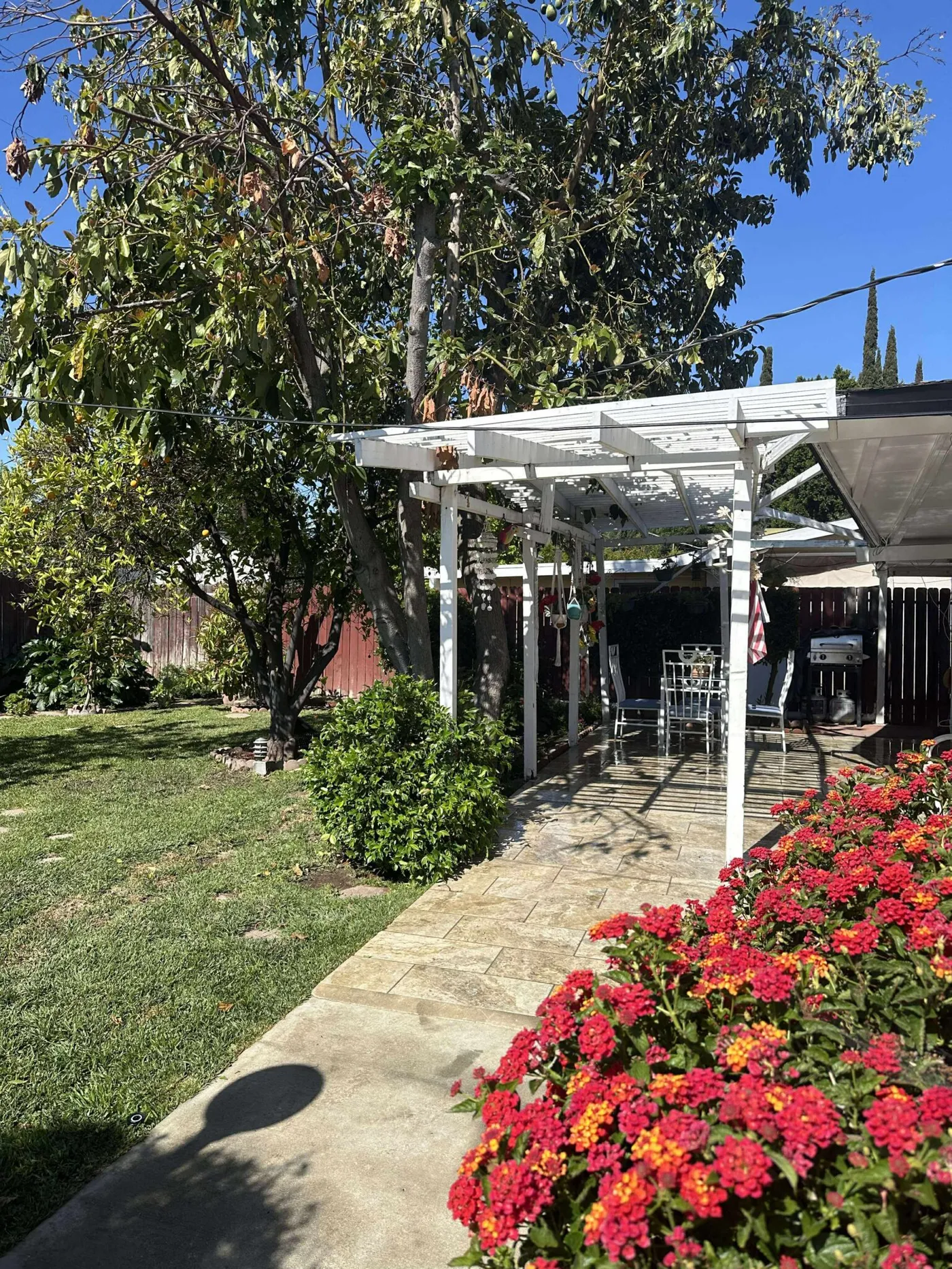 Daisy Anne Gardens — photo 8