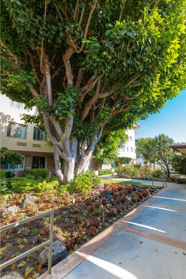 Glendale Garden Care Home — photo 9