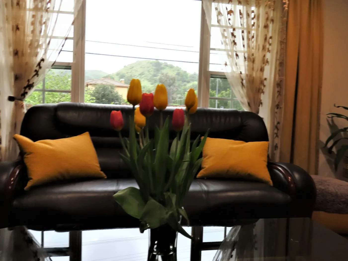 A & a Assisted Living Homes — photo 11