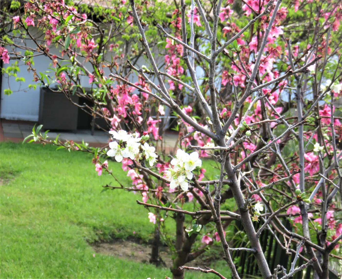 A & a Assisted Living Homes — photo 14