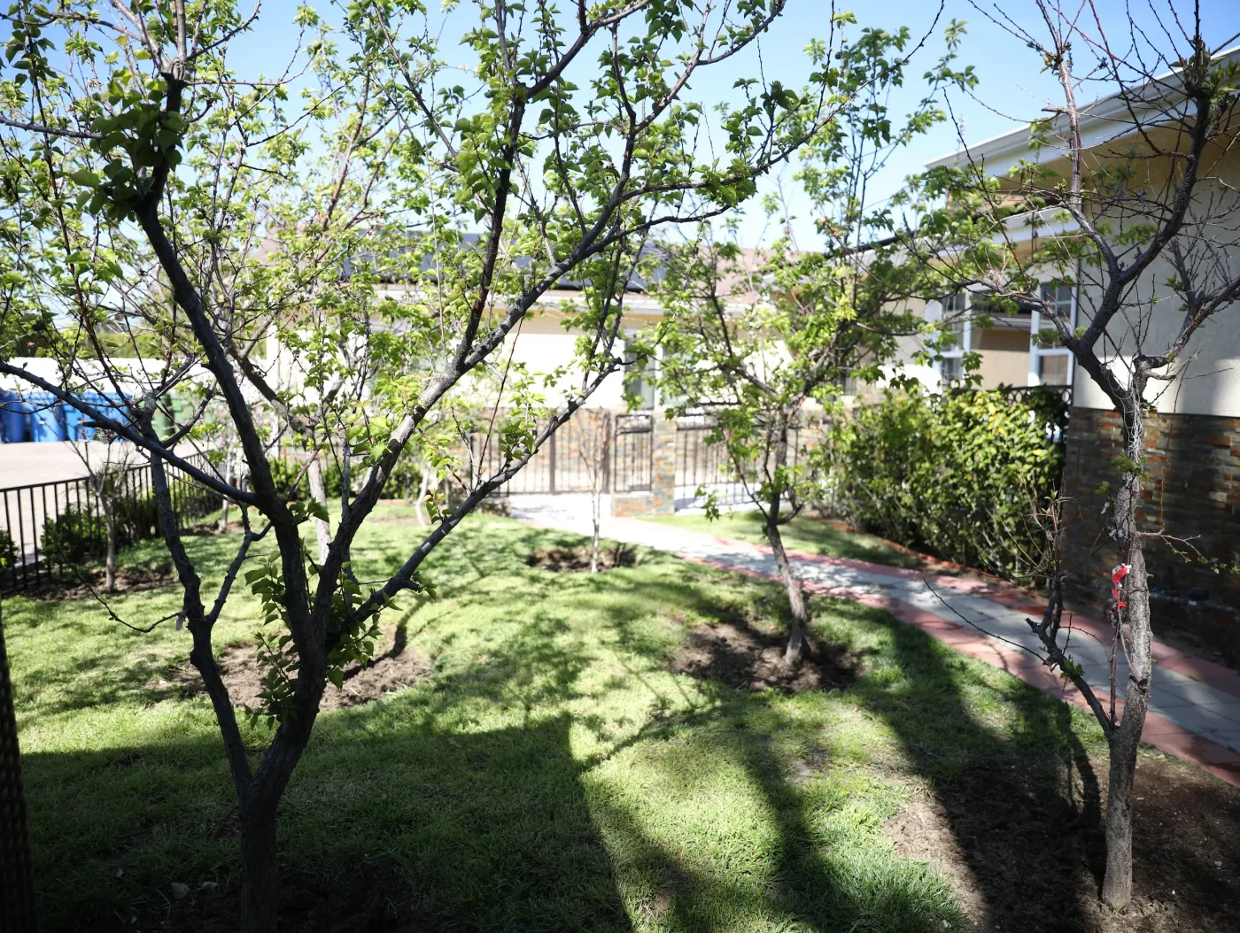 A & a Assisted Living Homes — photo 19