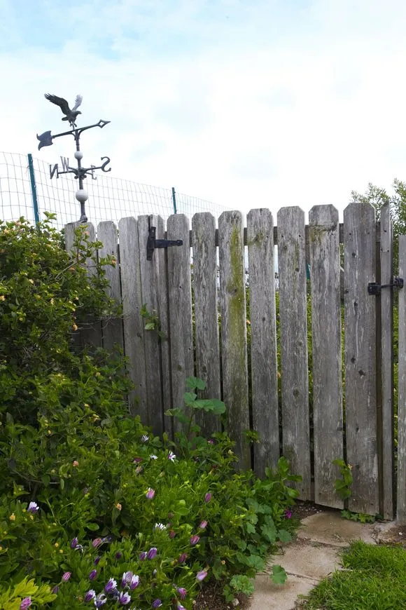 Ocean Vista Residential Care — photo 6