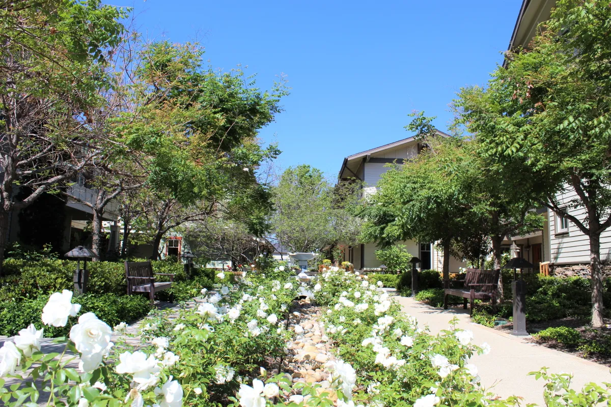 Cristo Rey Cottage Assisted Living — photo 11
