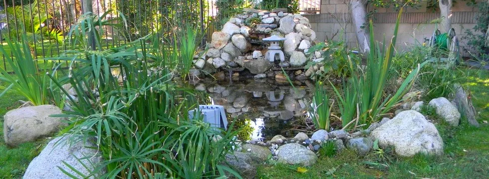 Excellence Board and Care Llc — photo 6