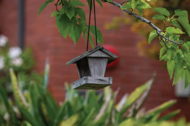 Aldersly — photo 13