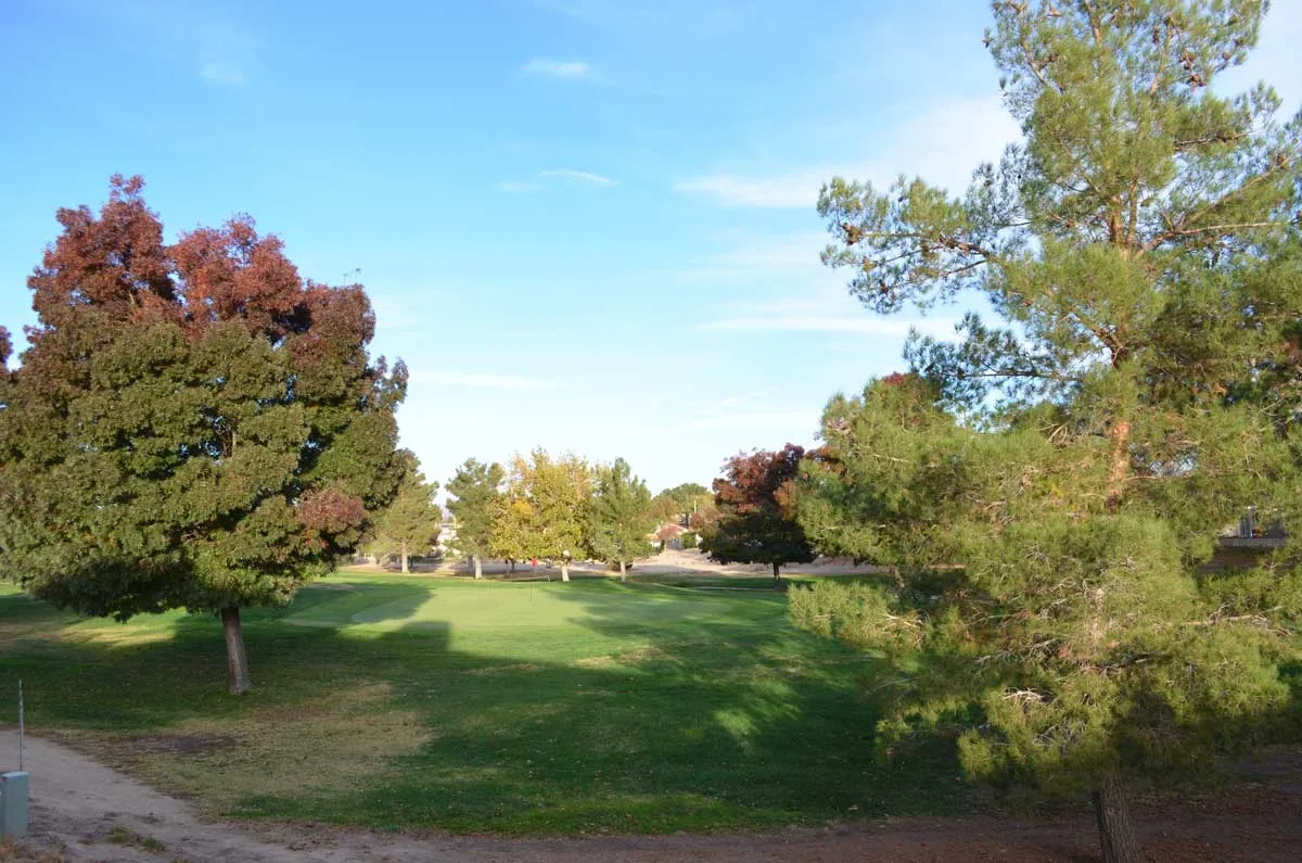 Green Tree Residence Llc — photo 6