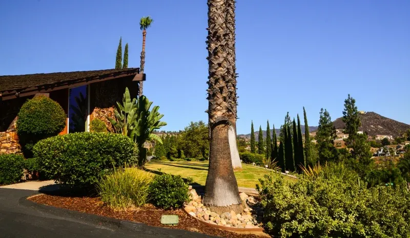 Villa Alegre — photo 7