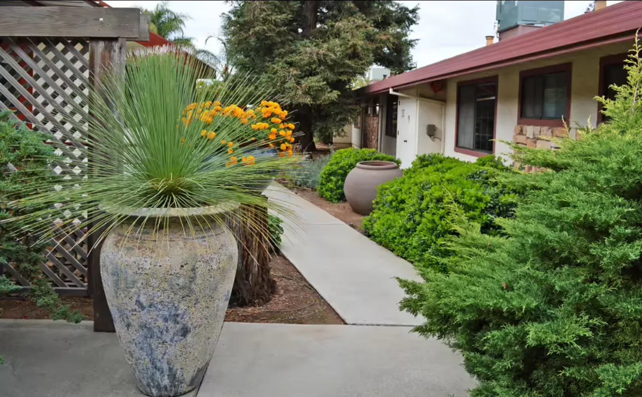 Valley Pines — photo 14