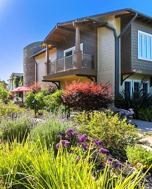 The Terraces at Los Altos — photo 9
