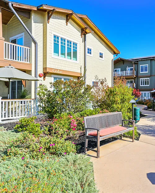 The Terraces at Los Altos — photo 10