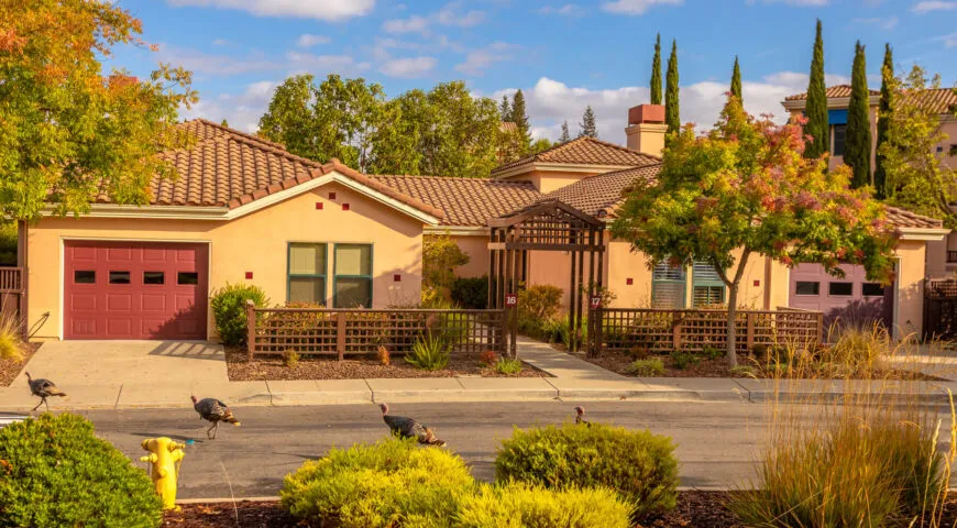 The Forum at Rancho San Antonio — photo 7