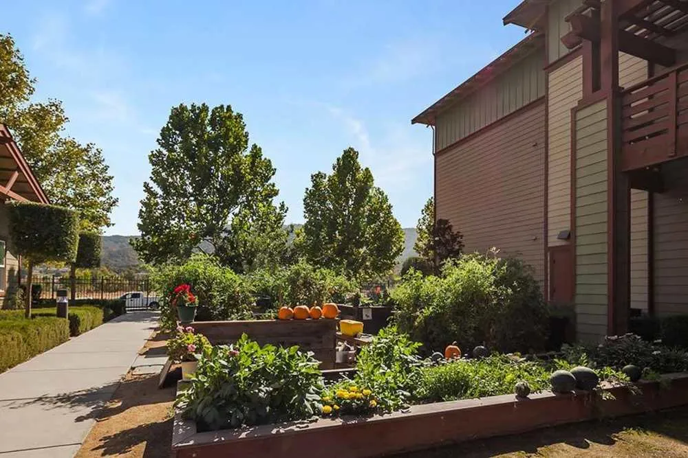Merrill Gardens at Gilroy — photo 21